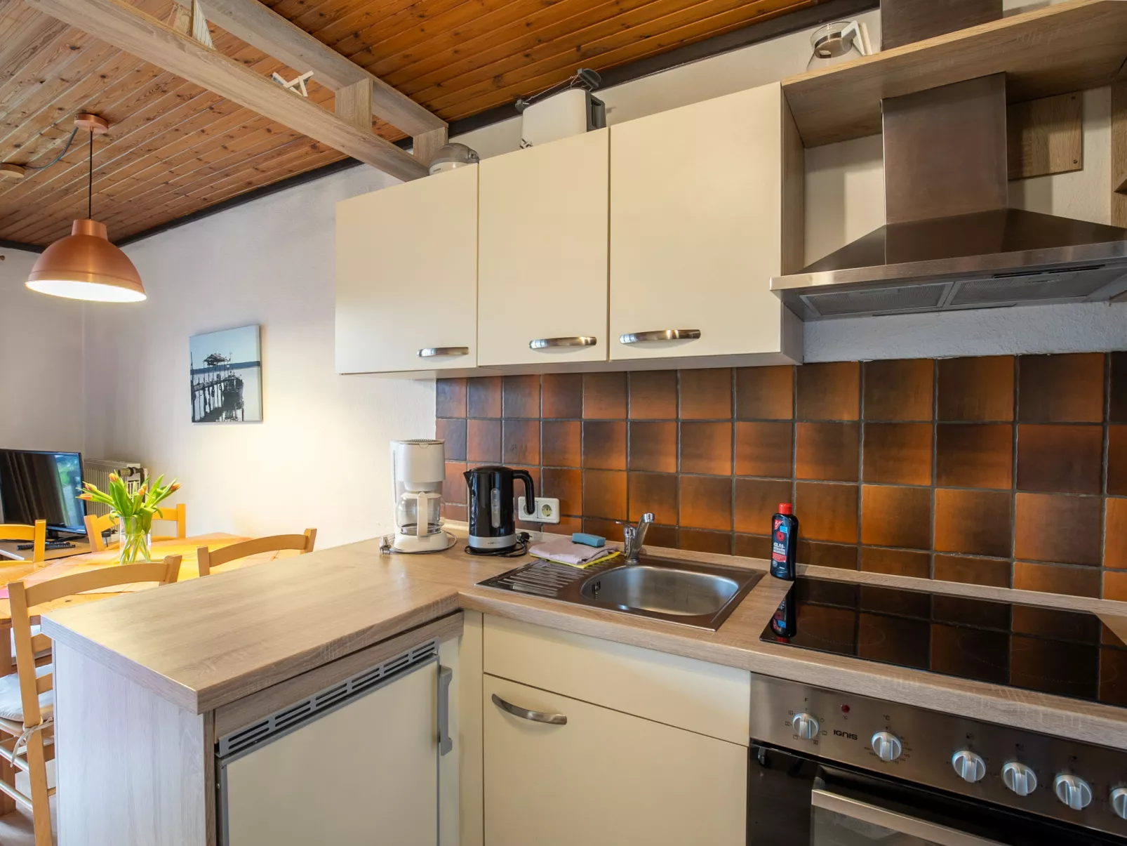 Nordsee-Ferienhaus