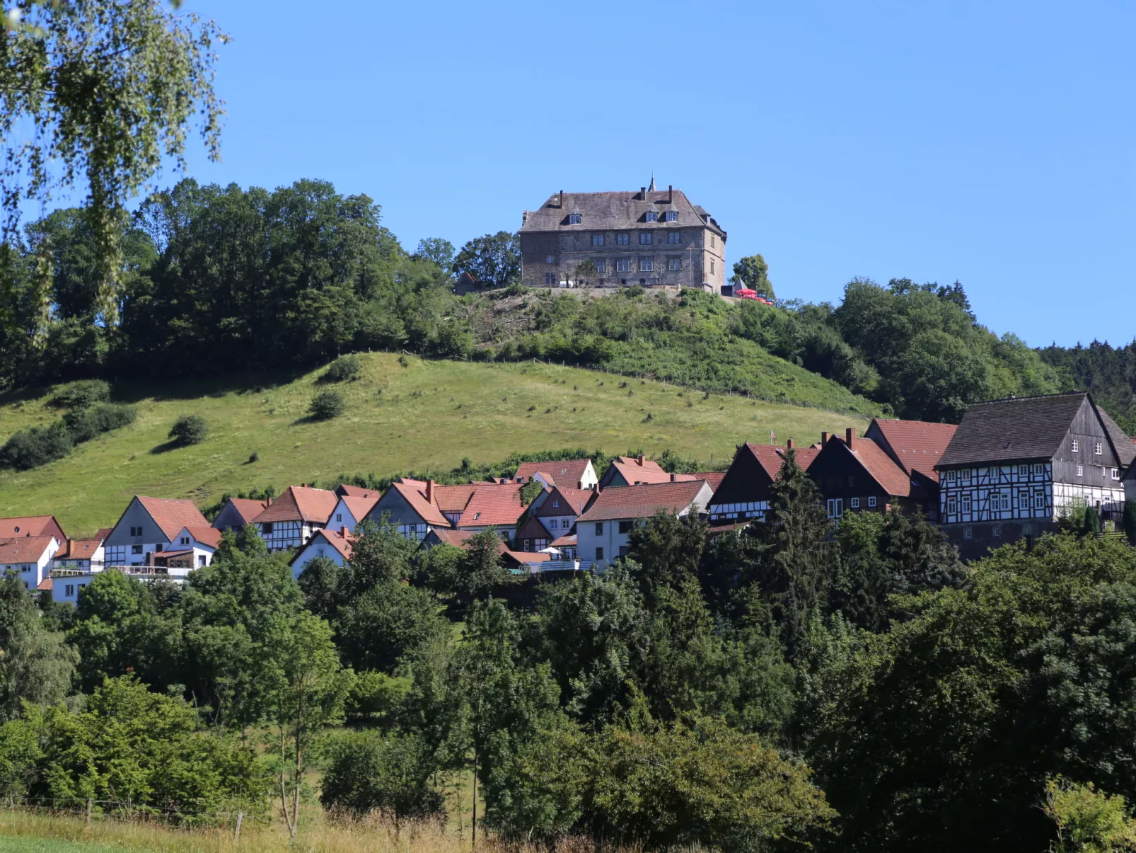 Waldvogt-Omgeving