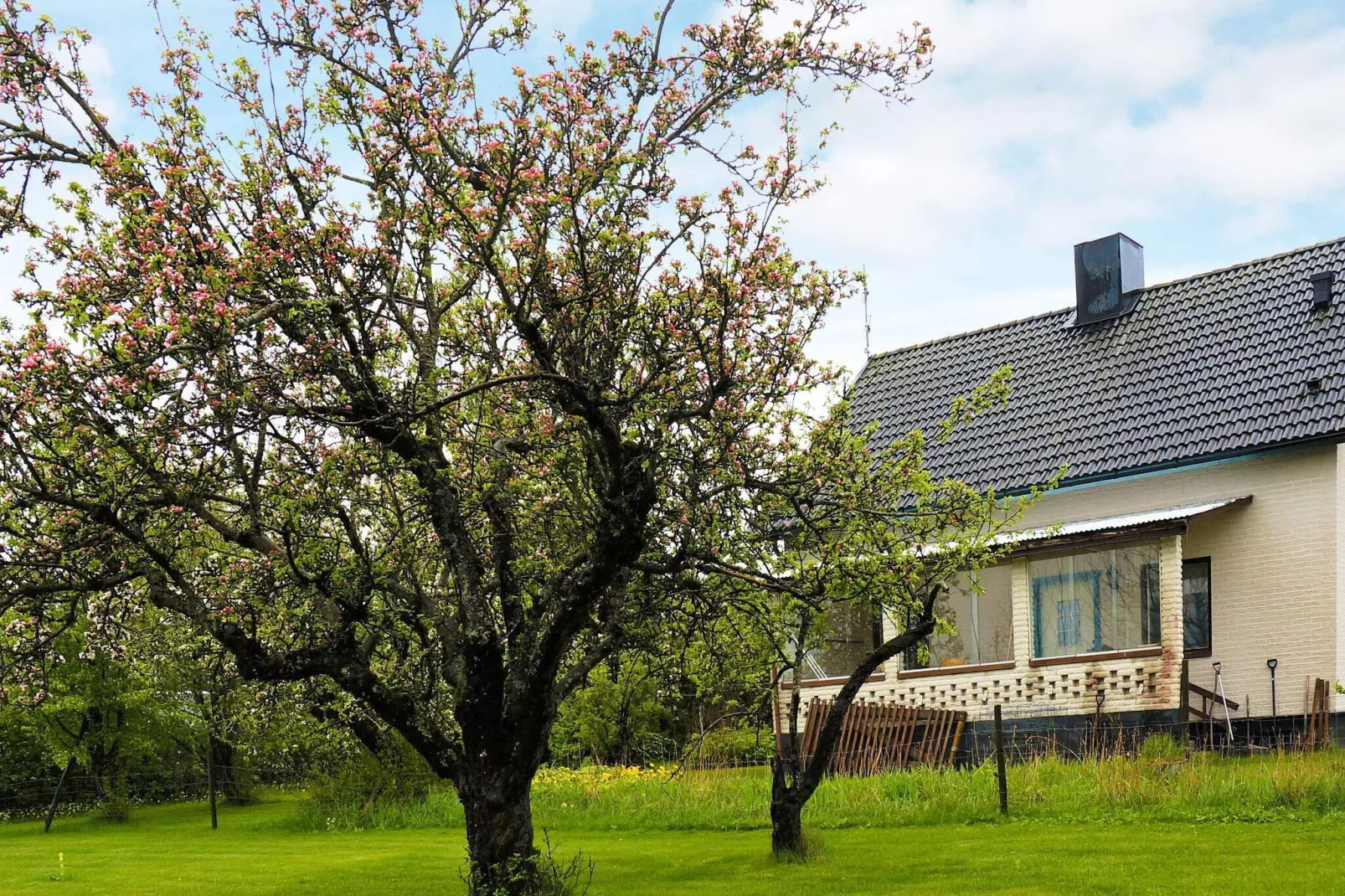8 persoons vakantie huis in HOVA-By Traum-Buitenlucht