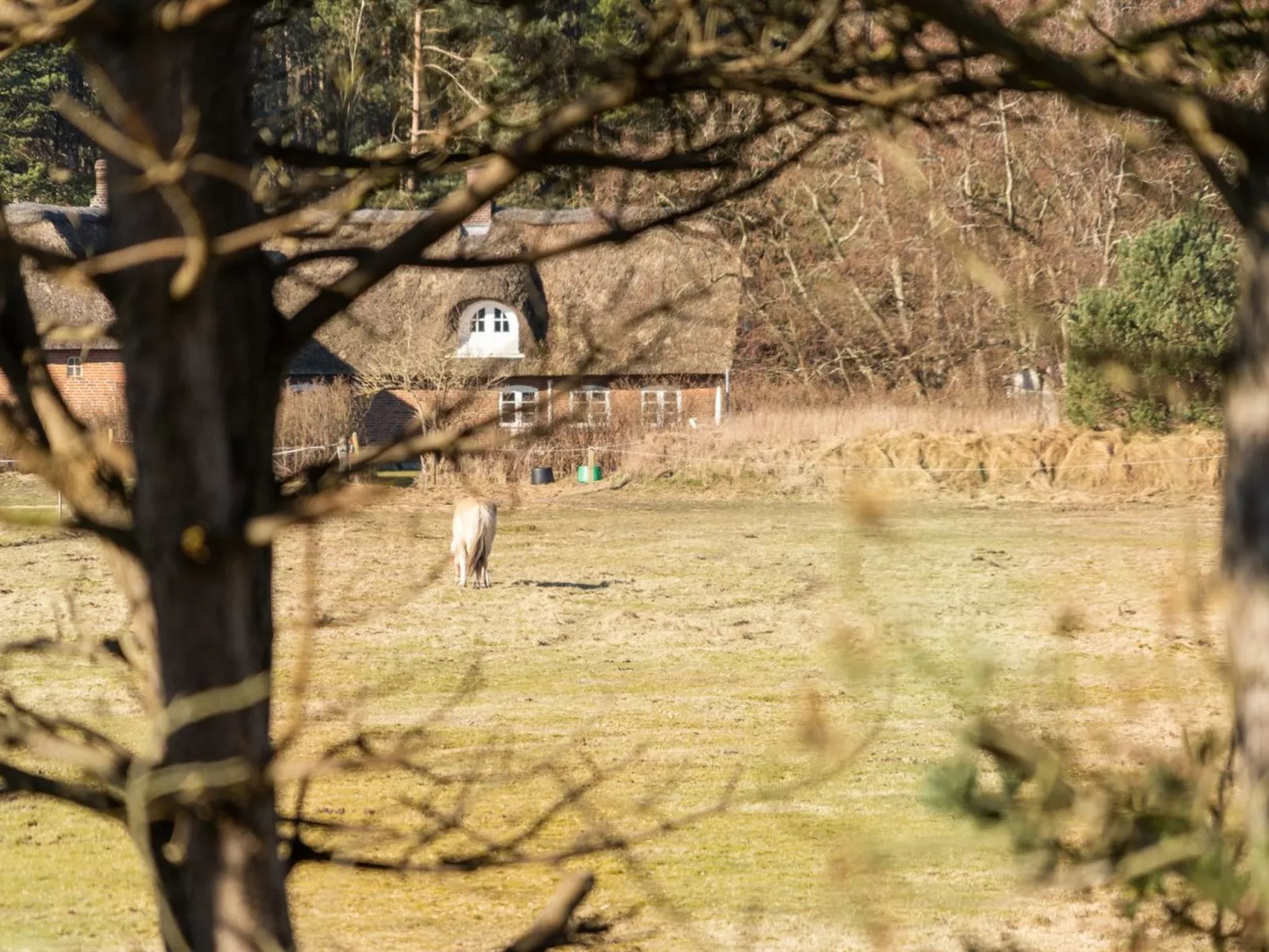 "Tine" - 2.3km from the sea