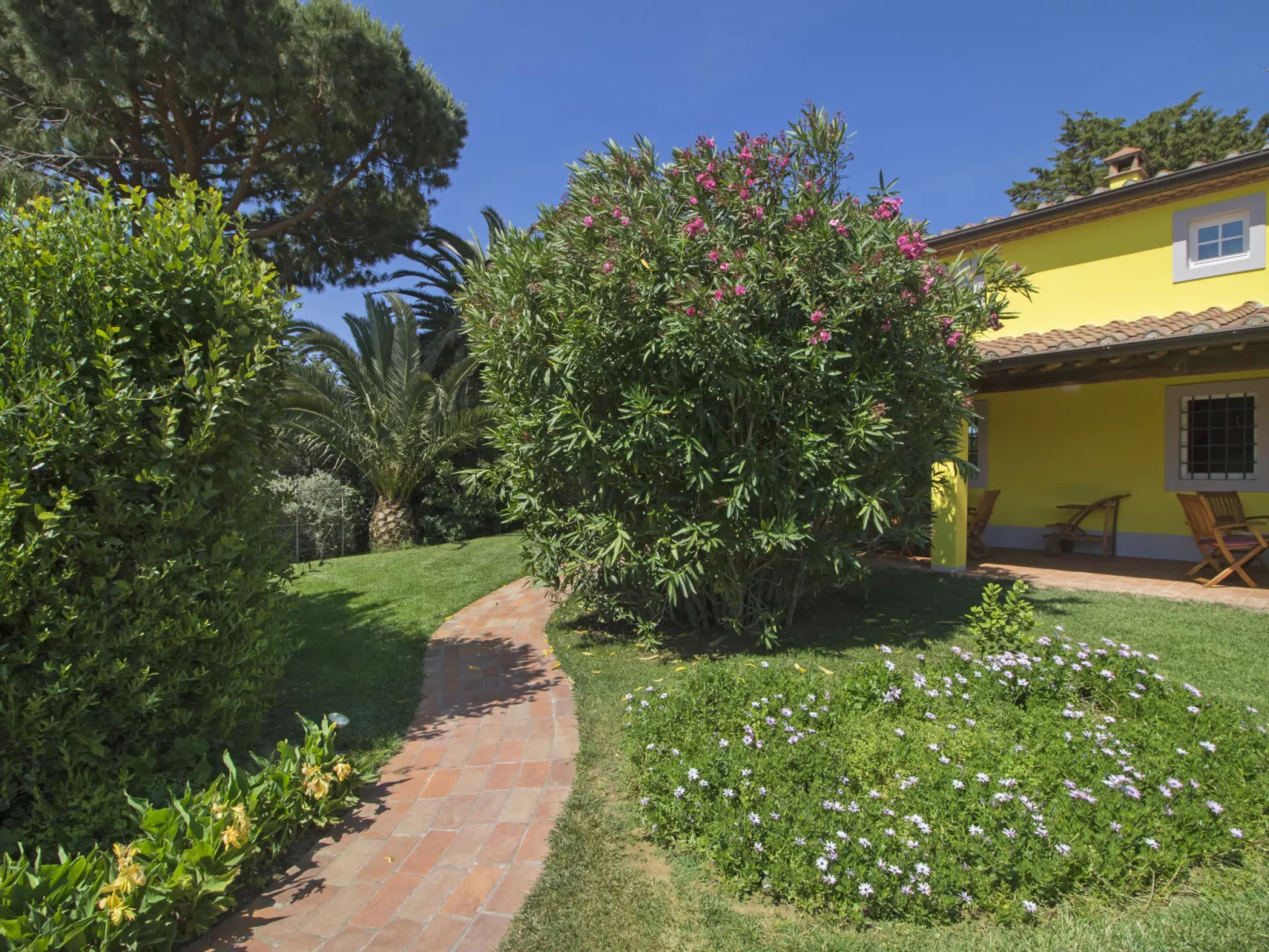 Villa il Pellicano-Buiten