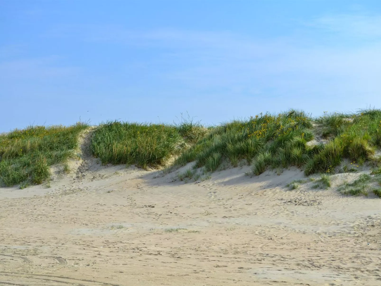 "Gunnlaug" - 500m from the sea-Buiten