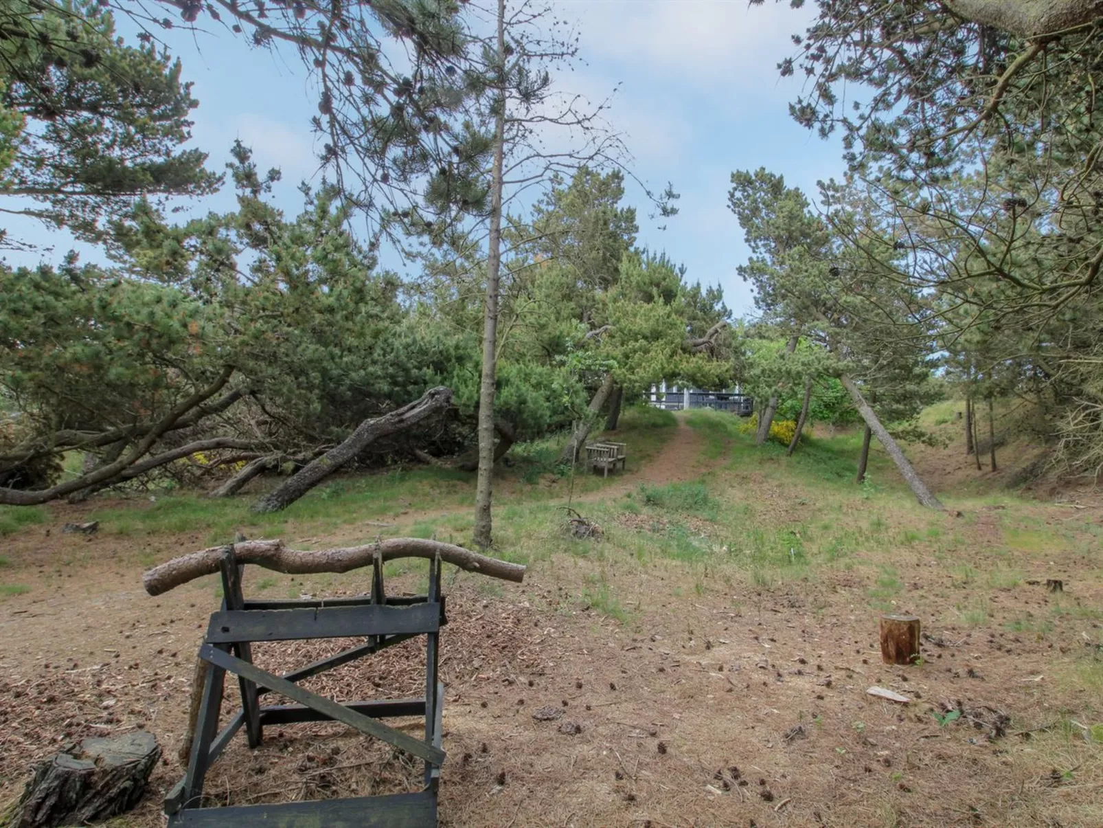 "Kanutte" - 400m from the sea-Buiten