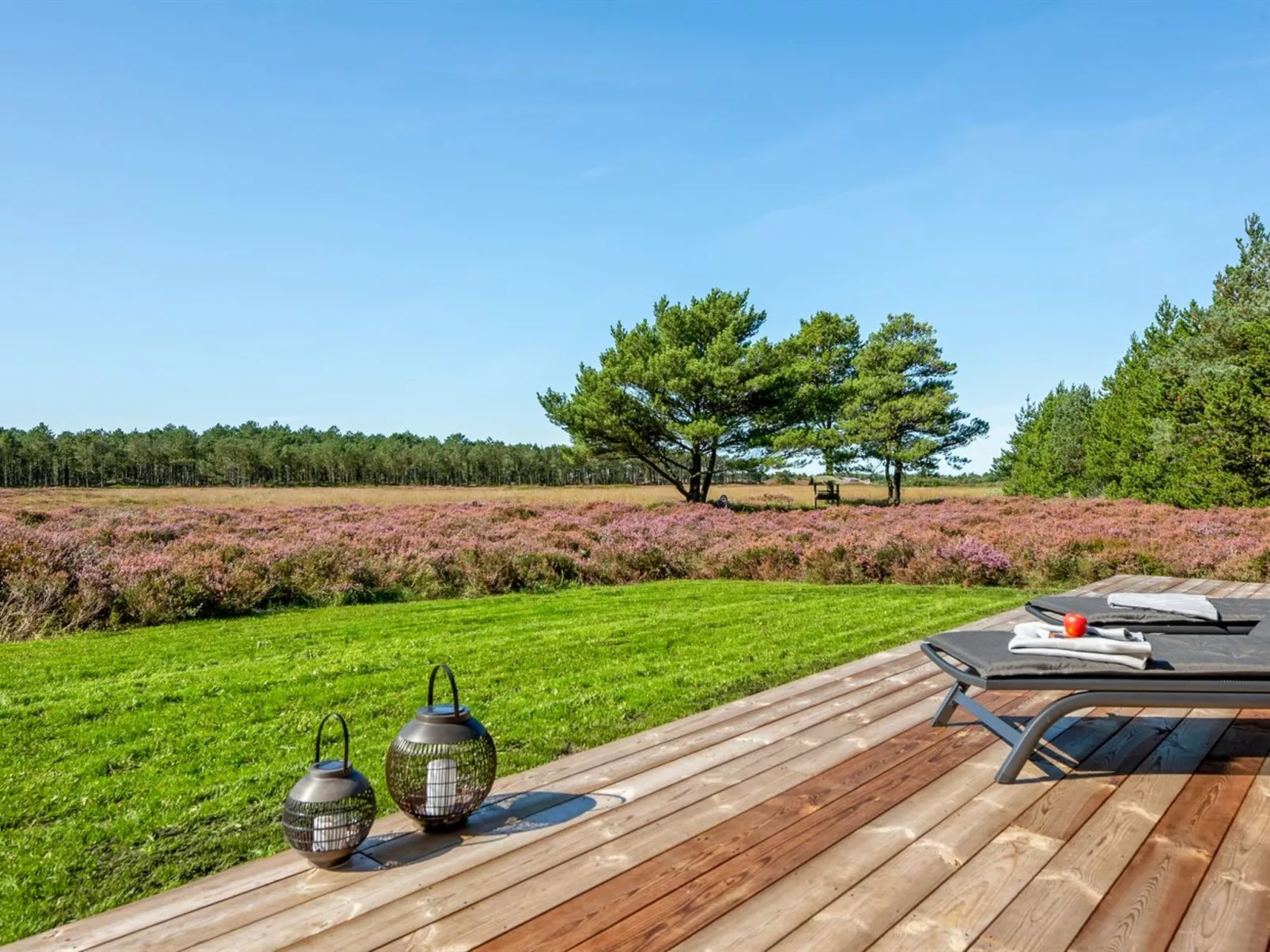 "Tea" - 2.7km from the sea
