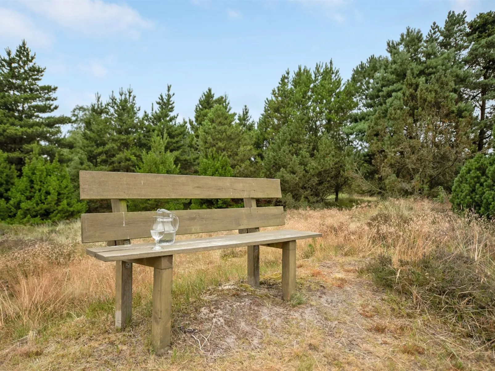 "Torbjörn" - 1.1km from the sea