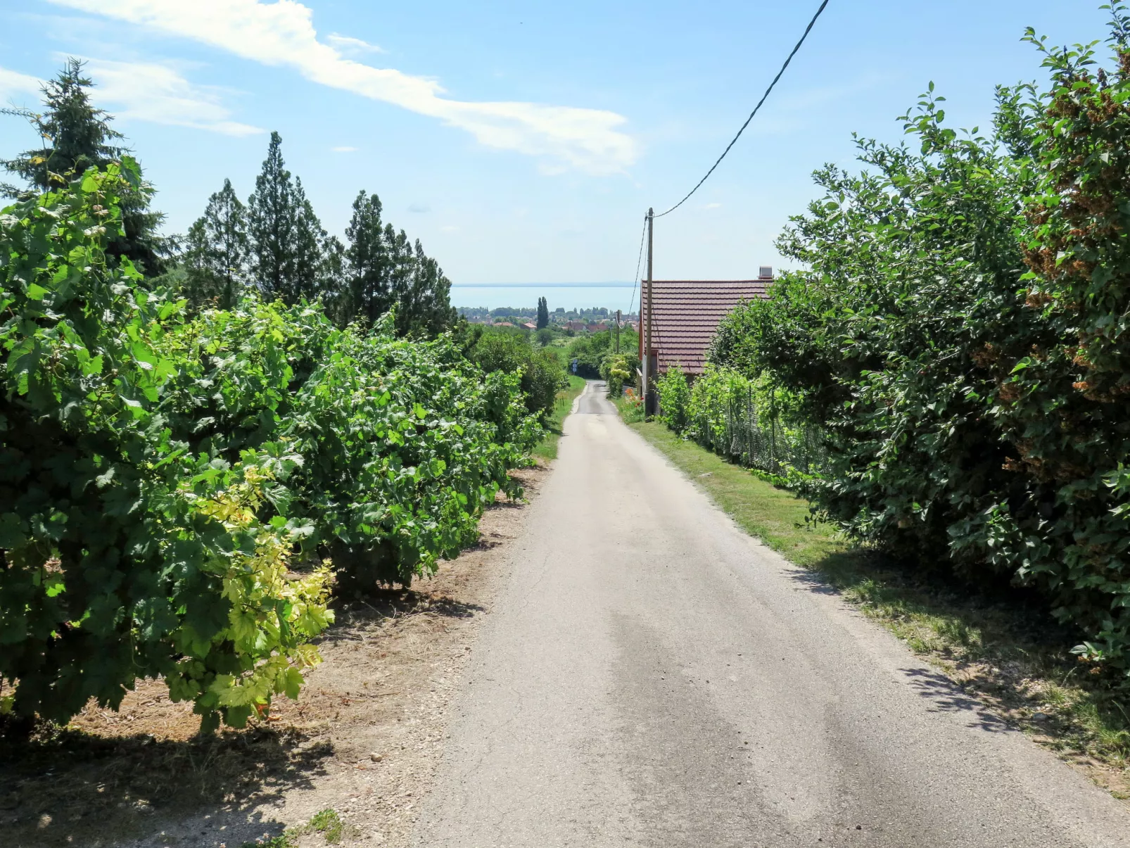 Dul-Buiten