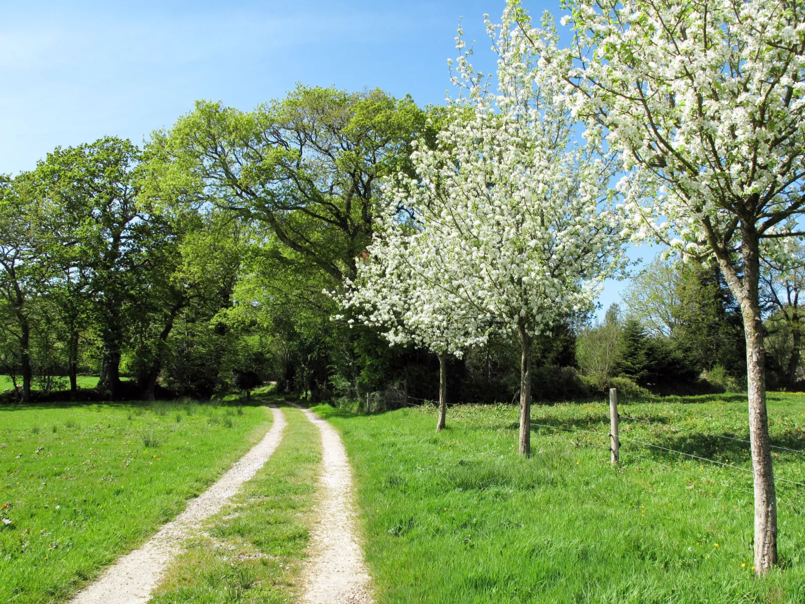 La Bergerie-Buiten