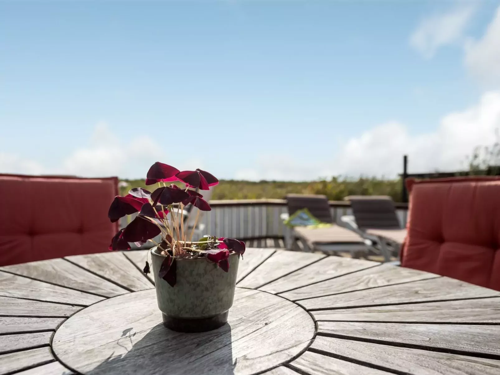 "Kylli" - 600m from the sea-Buiten