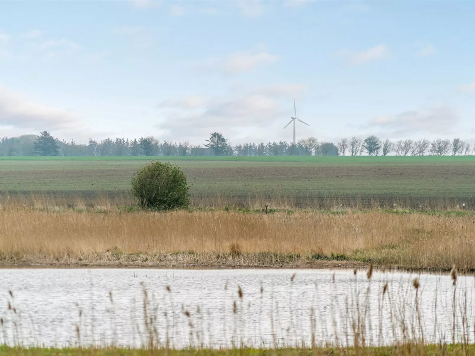 "Mirkka" - 1.5km from the sea-Buiten