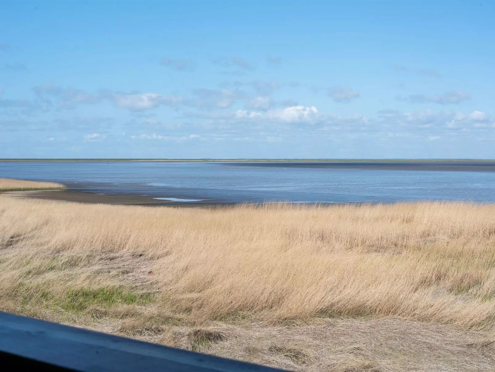 "Deljan" - 3.5km from the sea-Binnen
