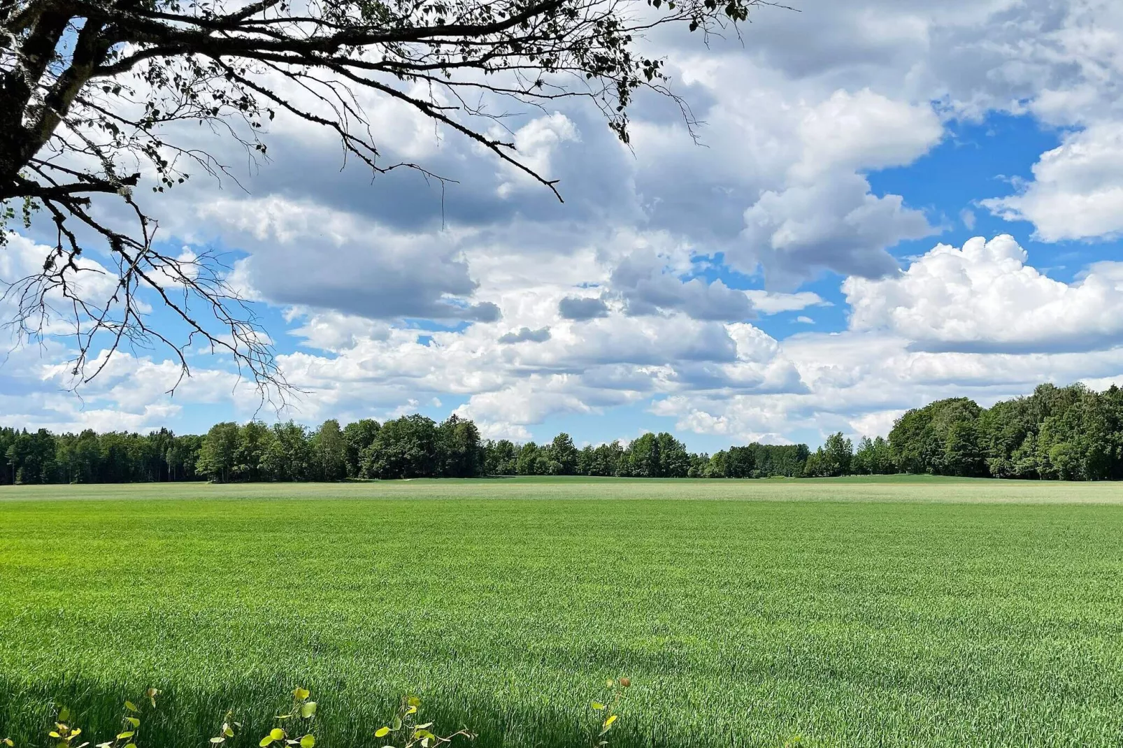 4 persoons vakantie huis in FALKÖPING-Niet-getagd
