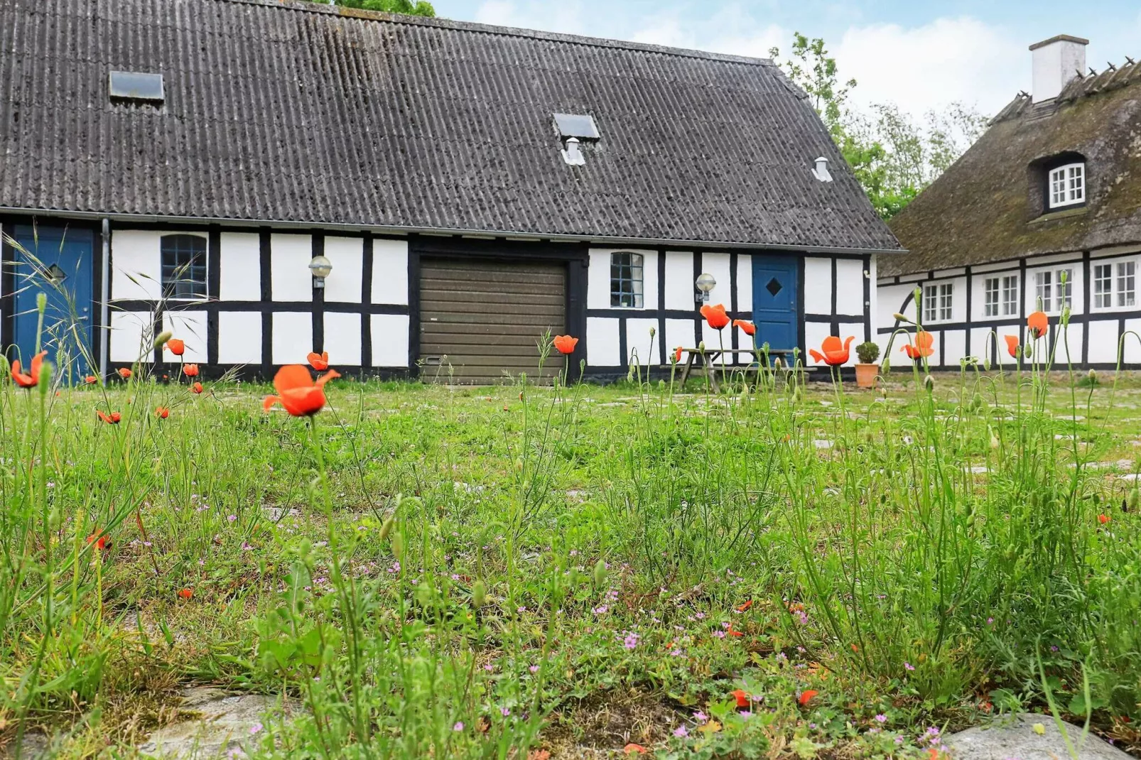 4 persoons vakantie huis in Faaborg-By Traum-Uitzicht