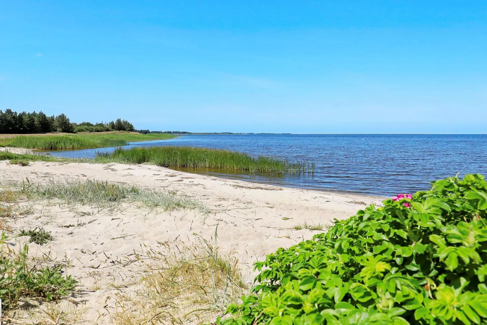 20 persoons vakantie huis in Ulfborg