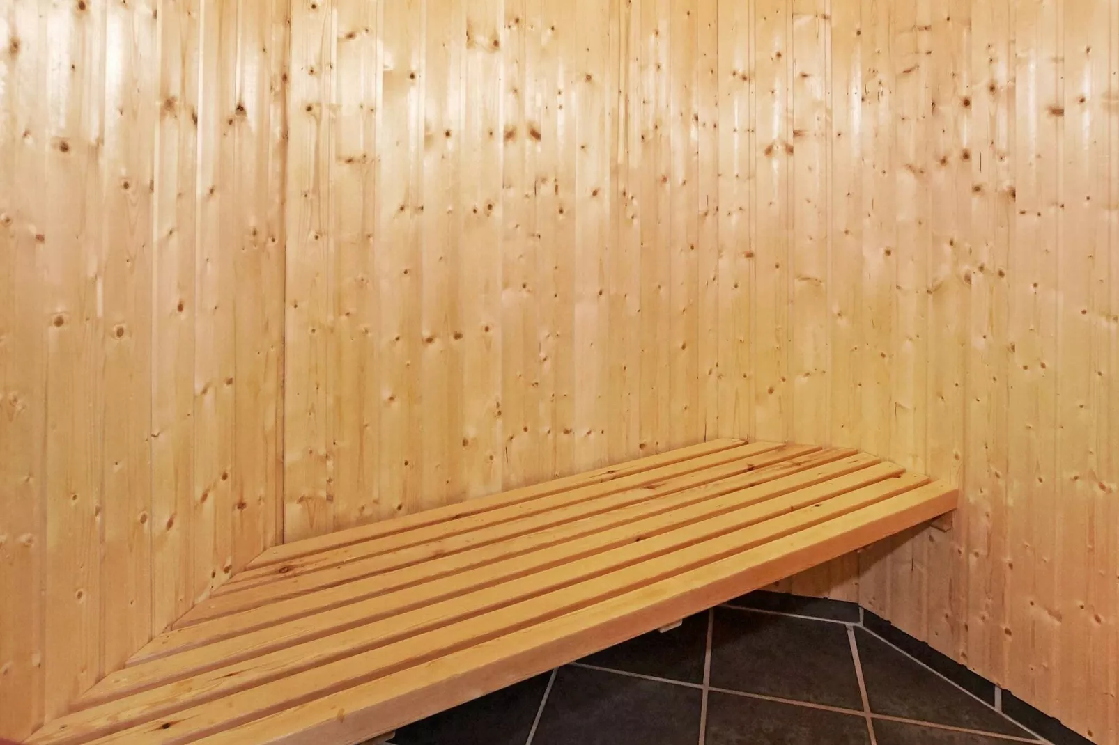 6 persoons vakantie huis in Hemmet-Sauna