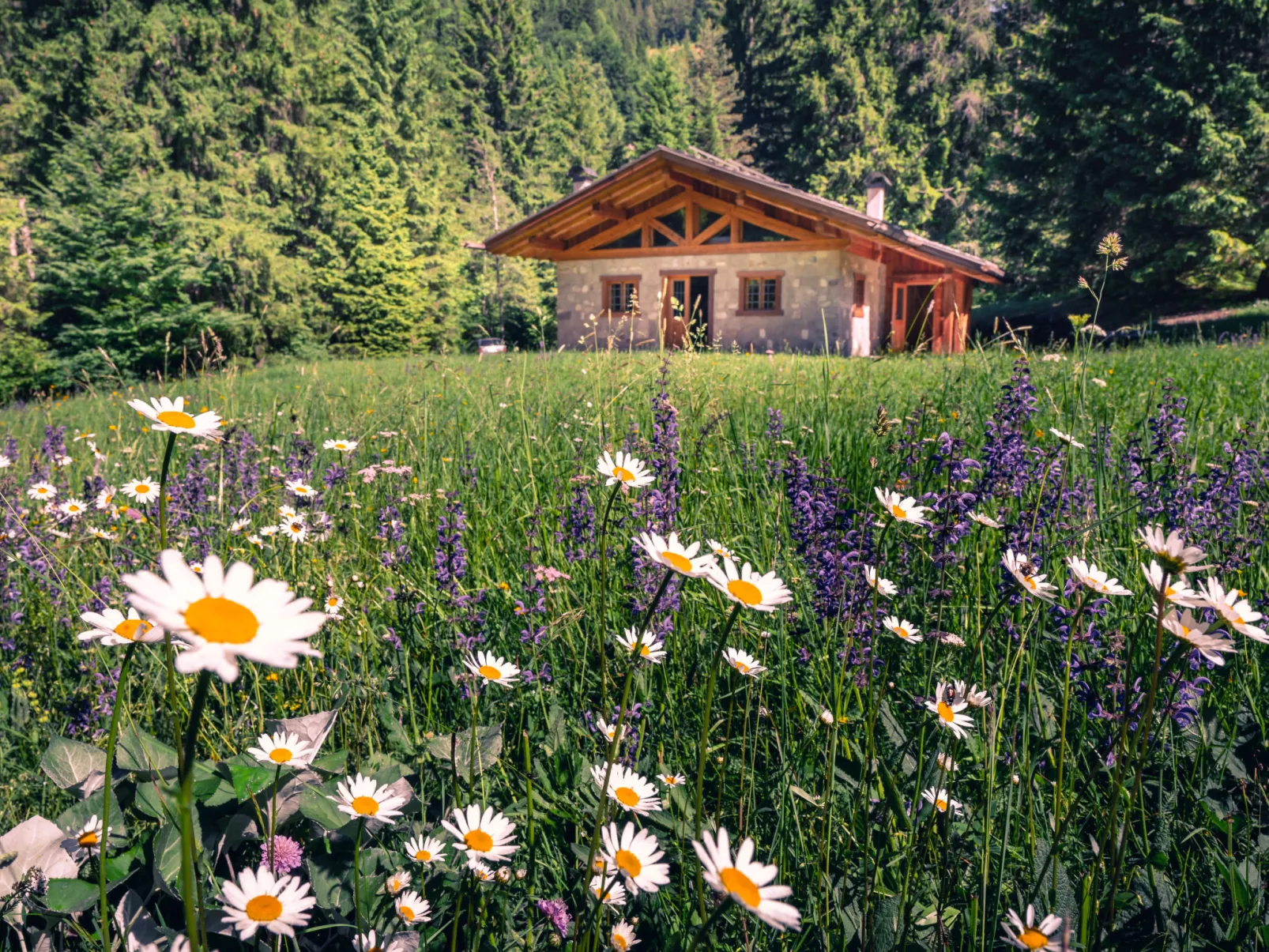 Baita Valon Alpine Hideaway-Buiten