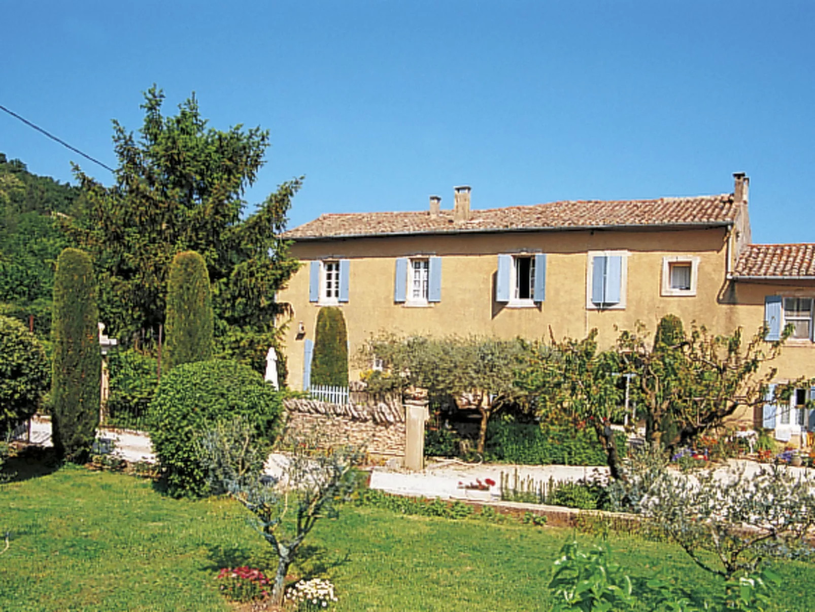 L'Olivier