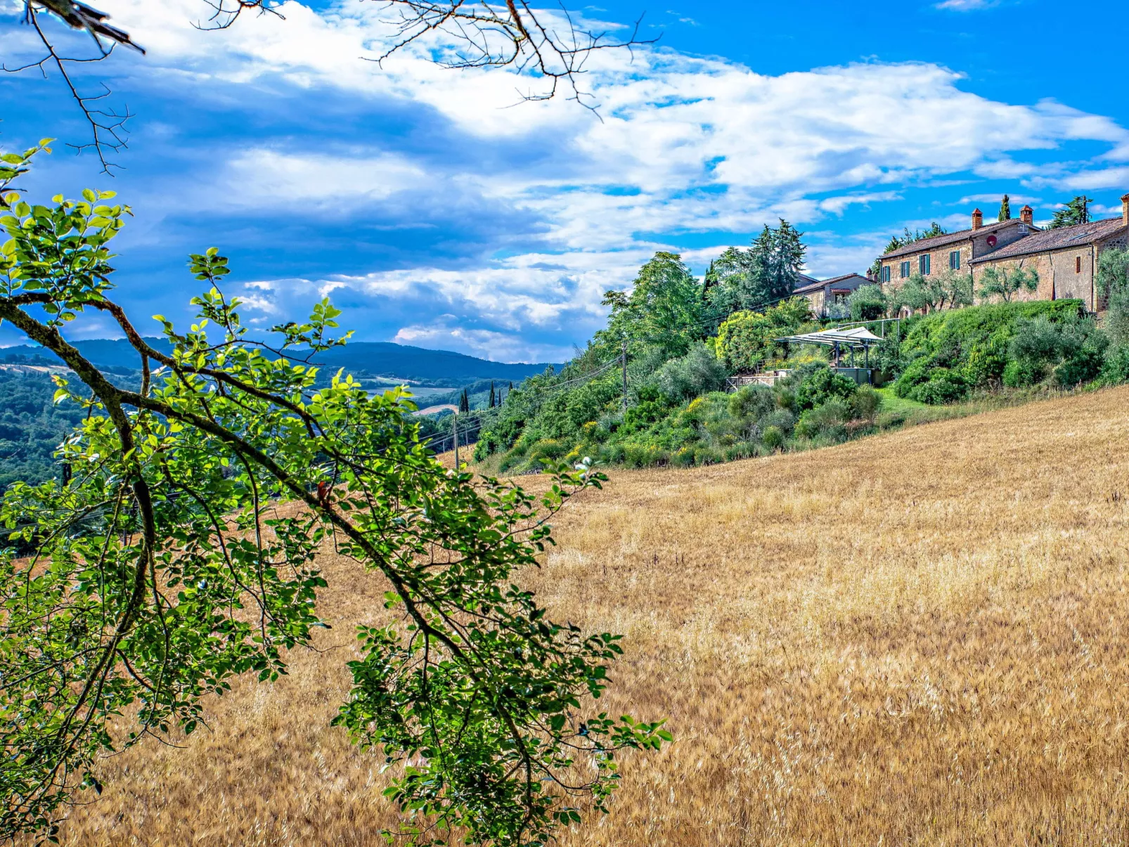 Bel Giardino