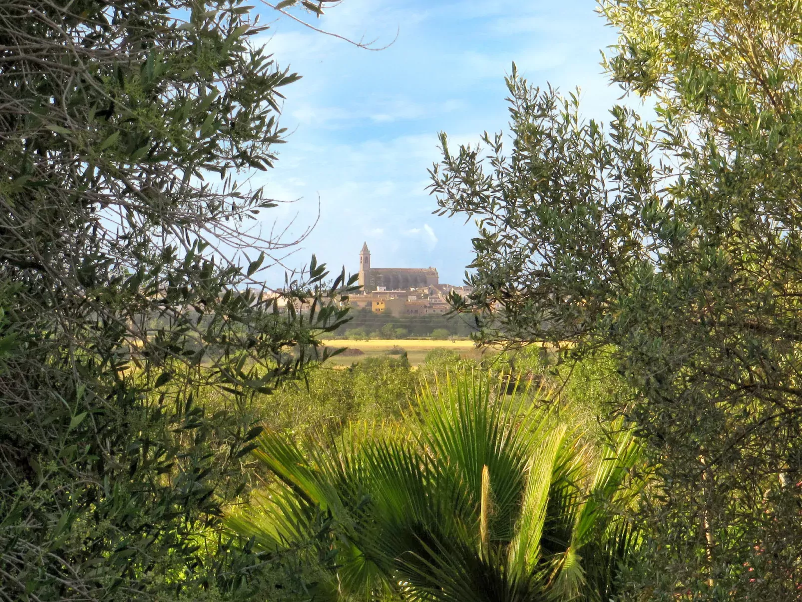 Bella Vista-Omgeving