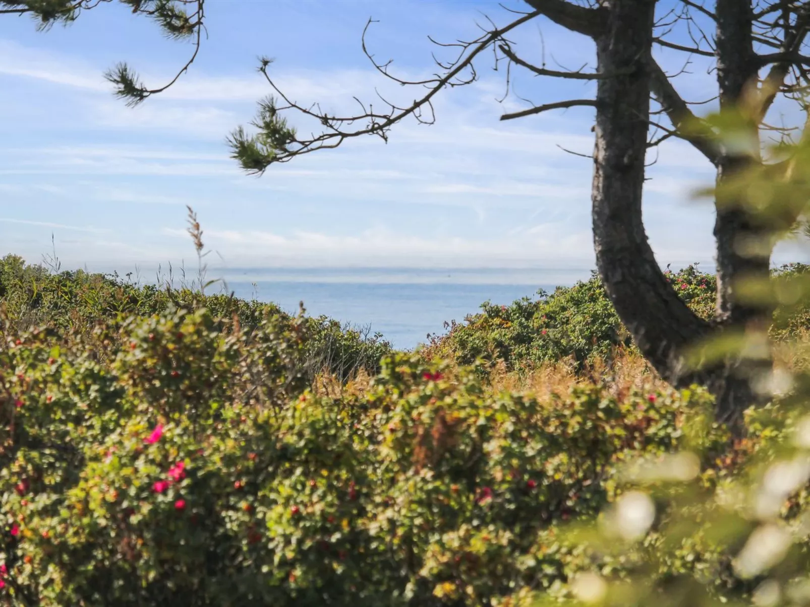 "Hening" - 50m from the sea-Binnen