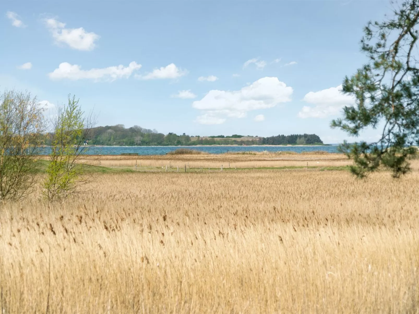 "Antti" - 350m from the sea-Buiten