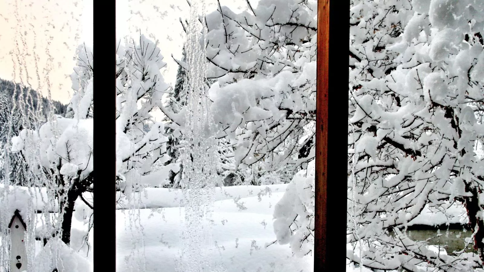 Im Wald-Uitzicht winter
