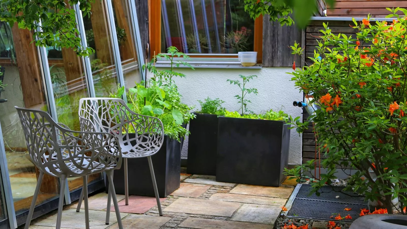 Im Wald-Terrasbalkon