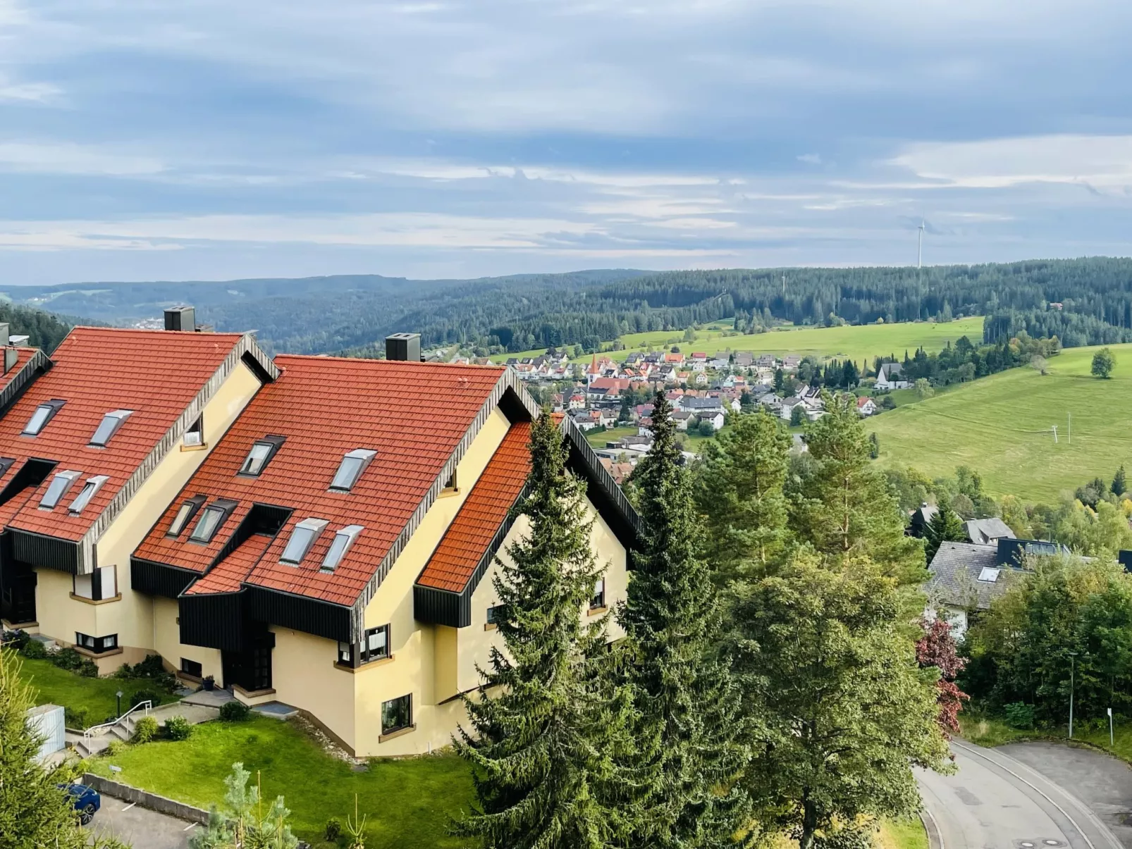 Schwarzwaldblick