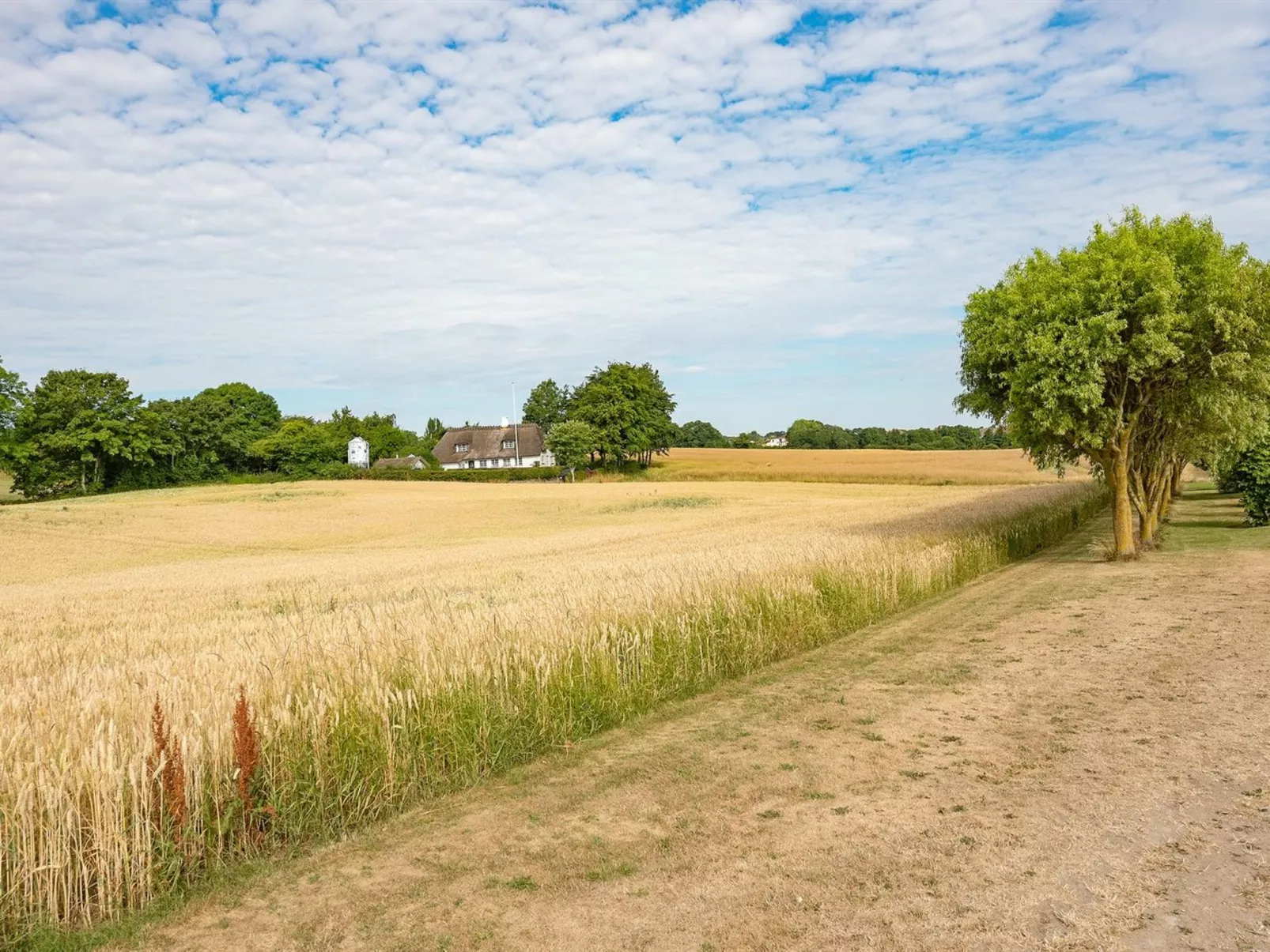 "Edithe" - 250m from the sea-Buiten