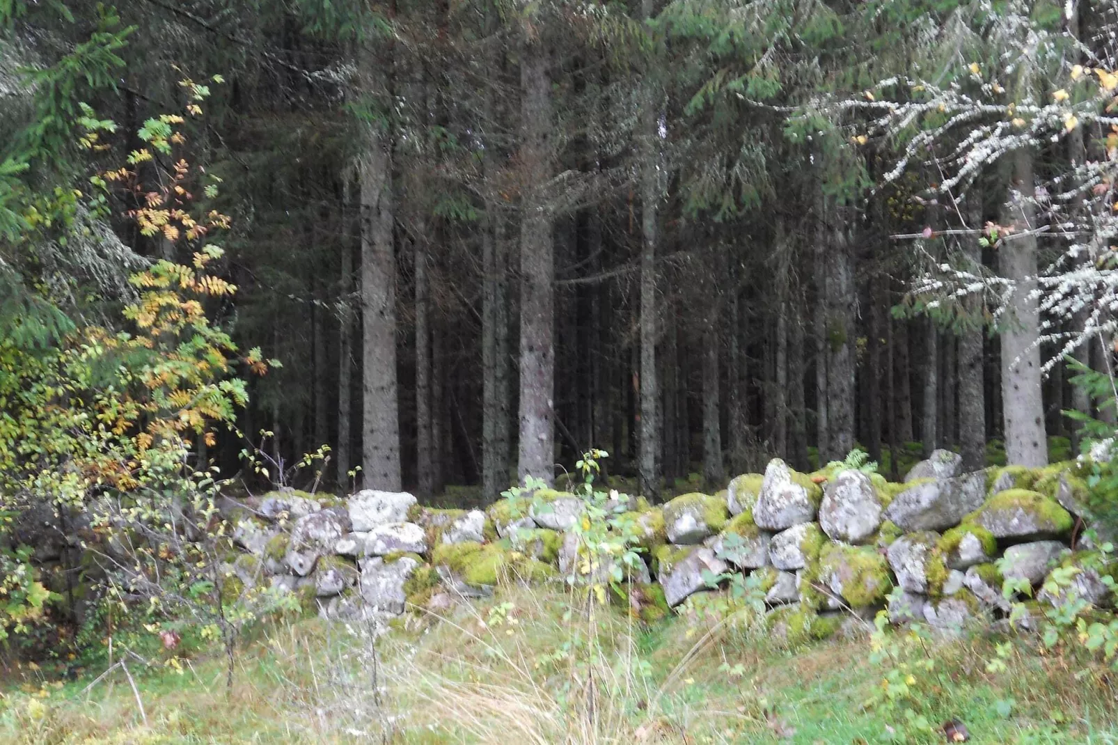 6 persoons vakantie huis in Osby-By Traum