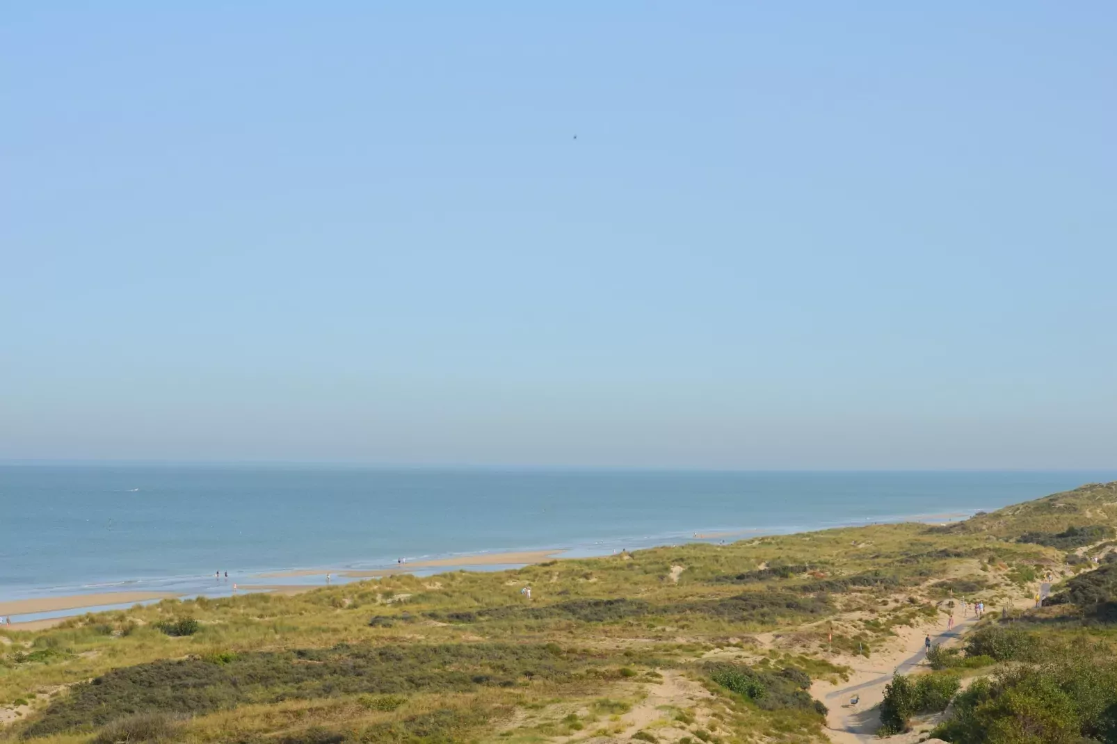 PLAZA A1/A1B01-Gebieden zomer 20km