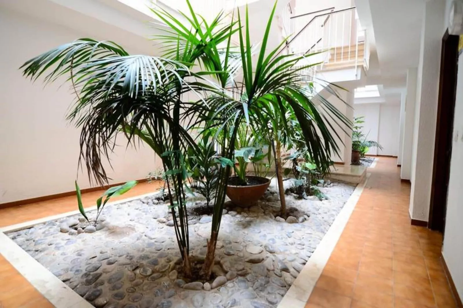 Appartements à L'Estartit-Buitenkant zomer