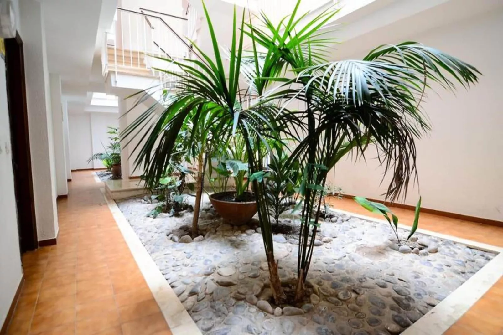 Appartements à L'Estartit-Buitenkant zomer