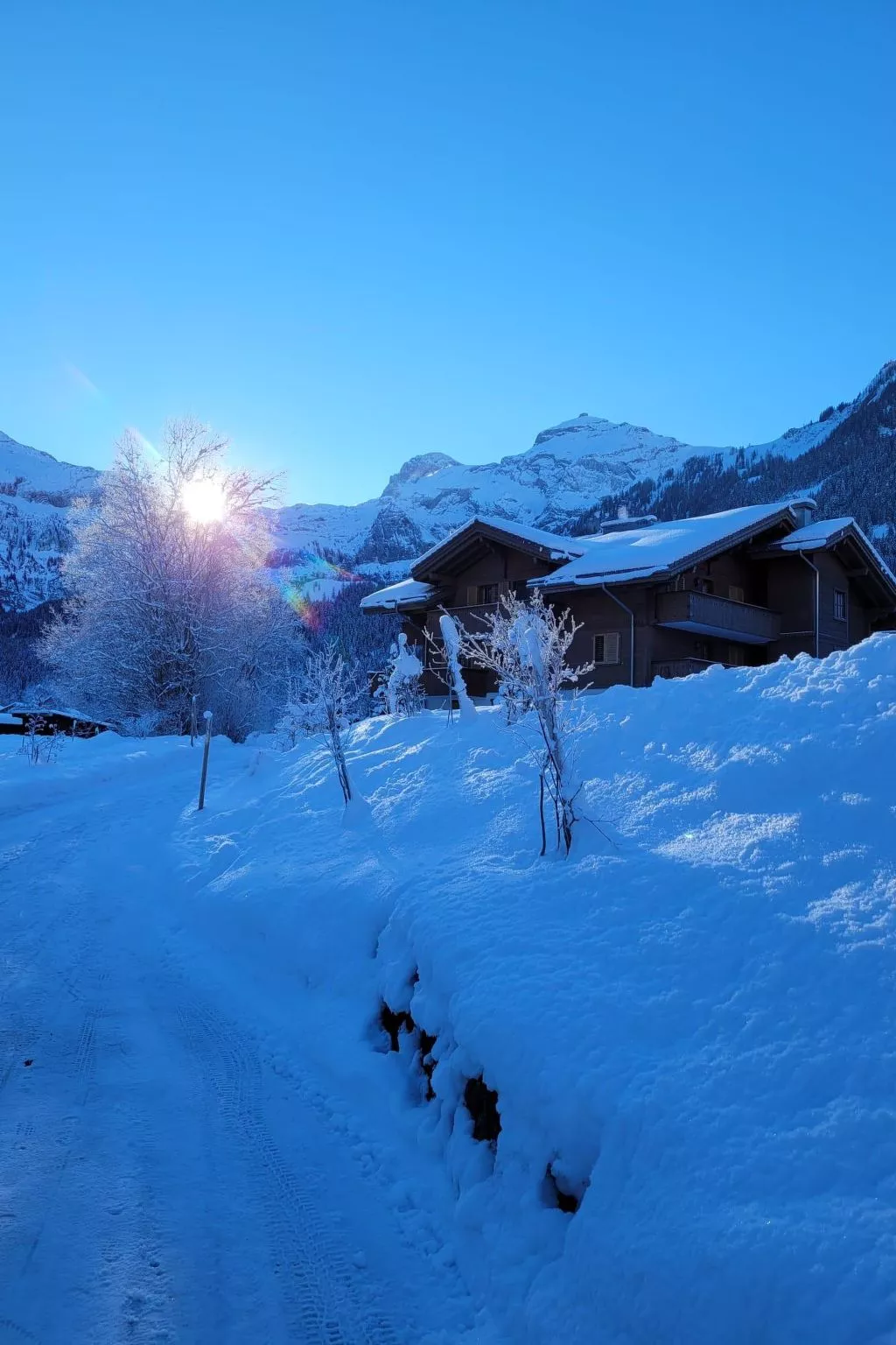 Chalet Lerchweid Lenk-Buiten