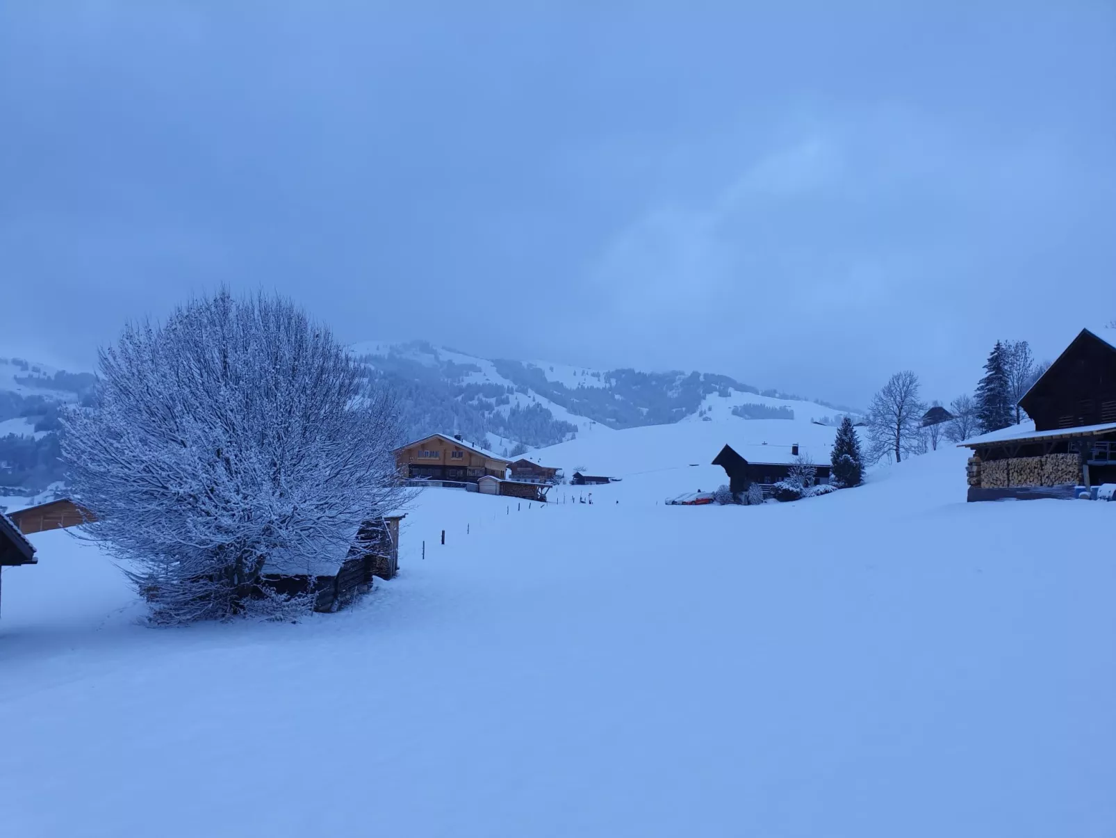 Aerneli, Chalet-Buiten