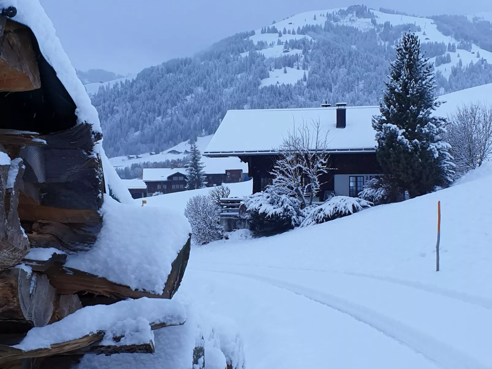 Aerneli, Chalet-Binnen