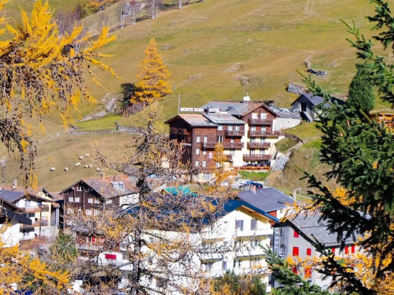 Monte Rosa
