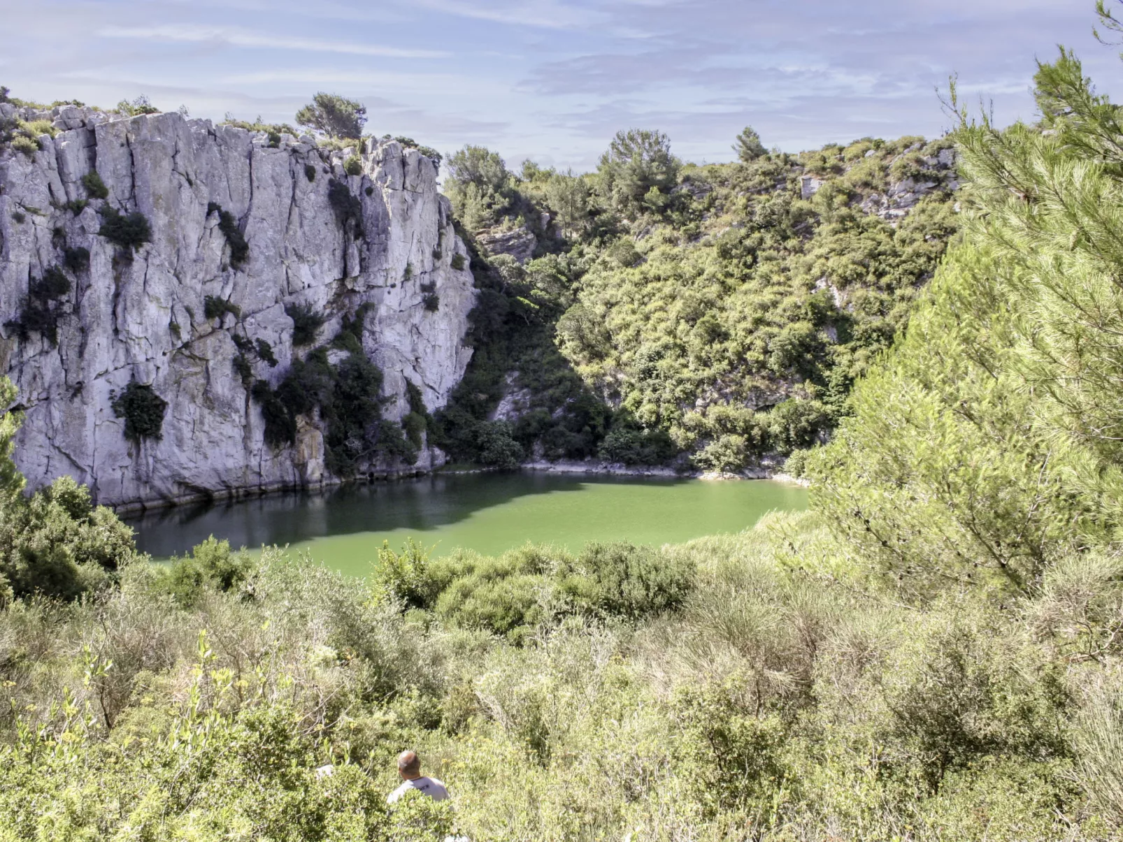 Vicente-Omgeving