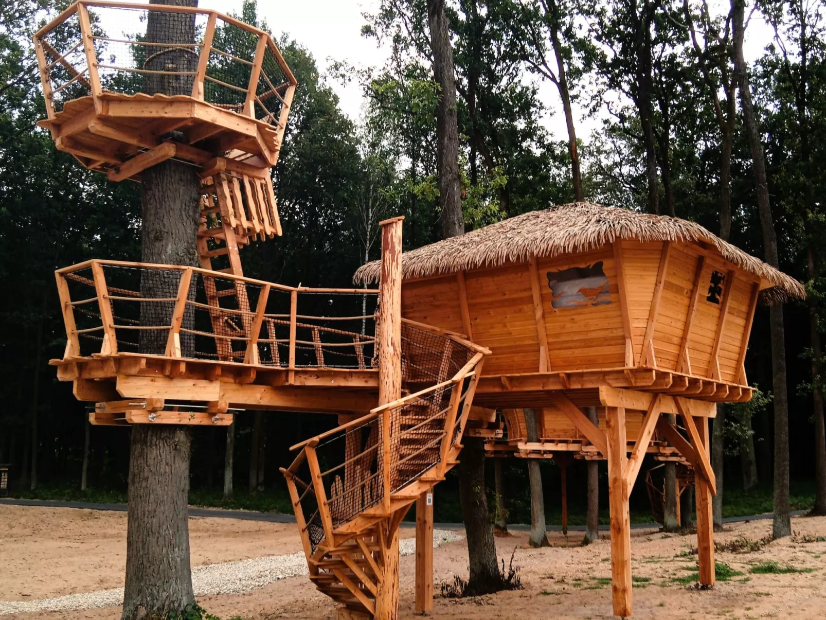 Treehouse 1-Buiten