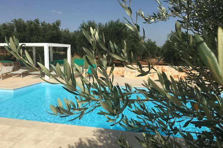 poolofhouse