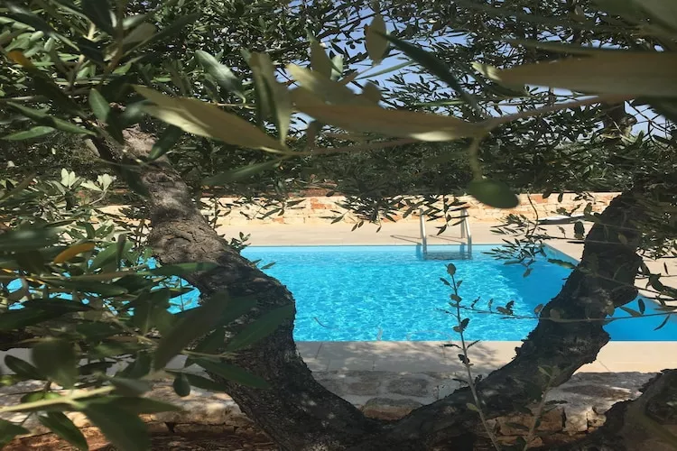 Trullo Amato Cisternino-Zwembad