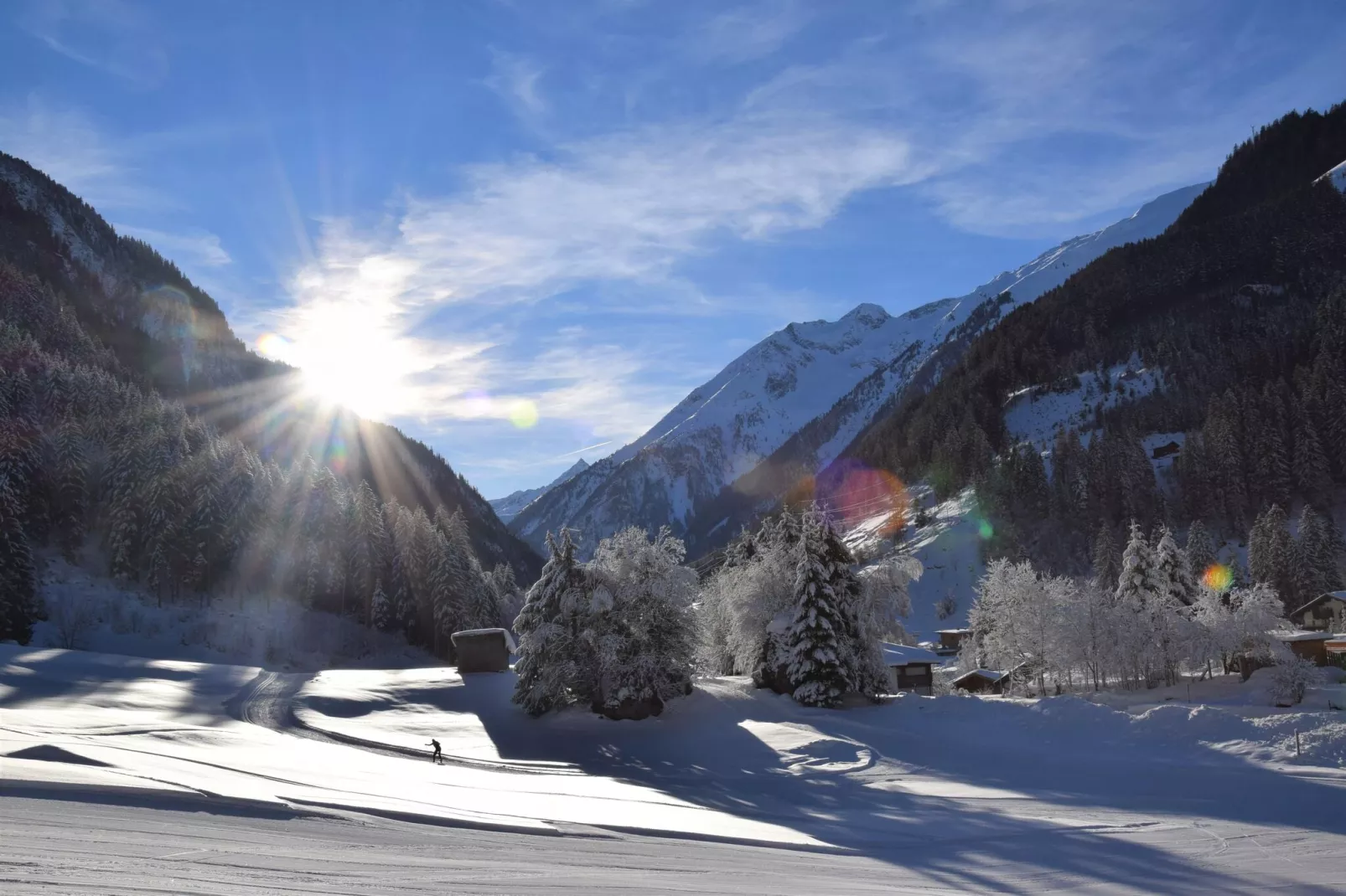 Backyard Mountain Hostel-Gebied winter 5km
