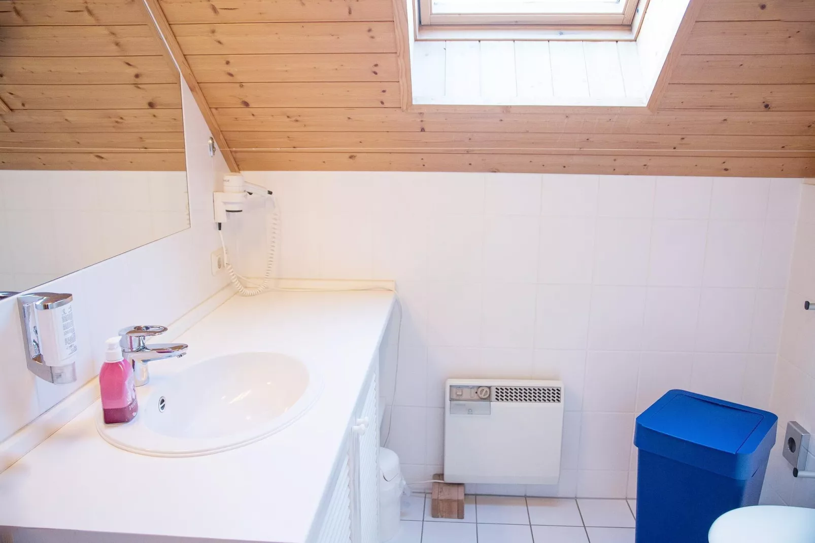 Ferienhaus in Hasselfelde - Haus 404 Auerhahn-Badkamer