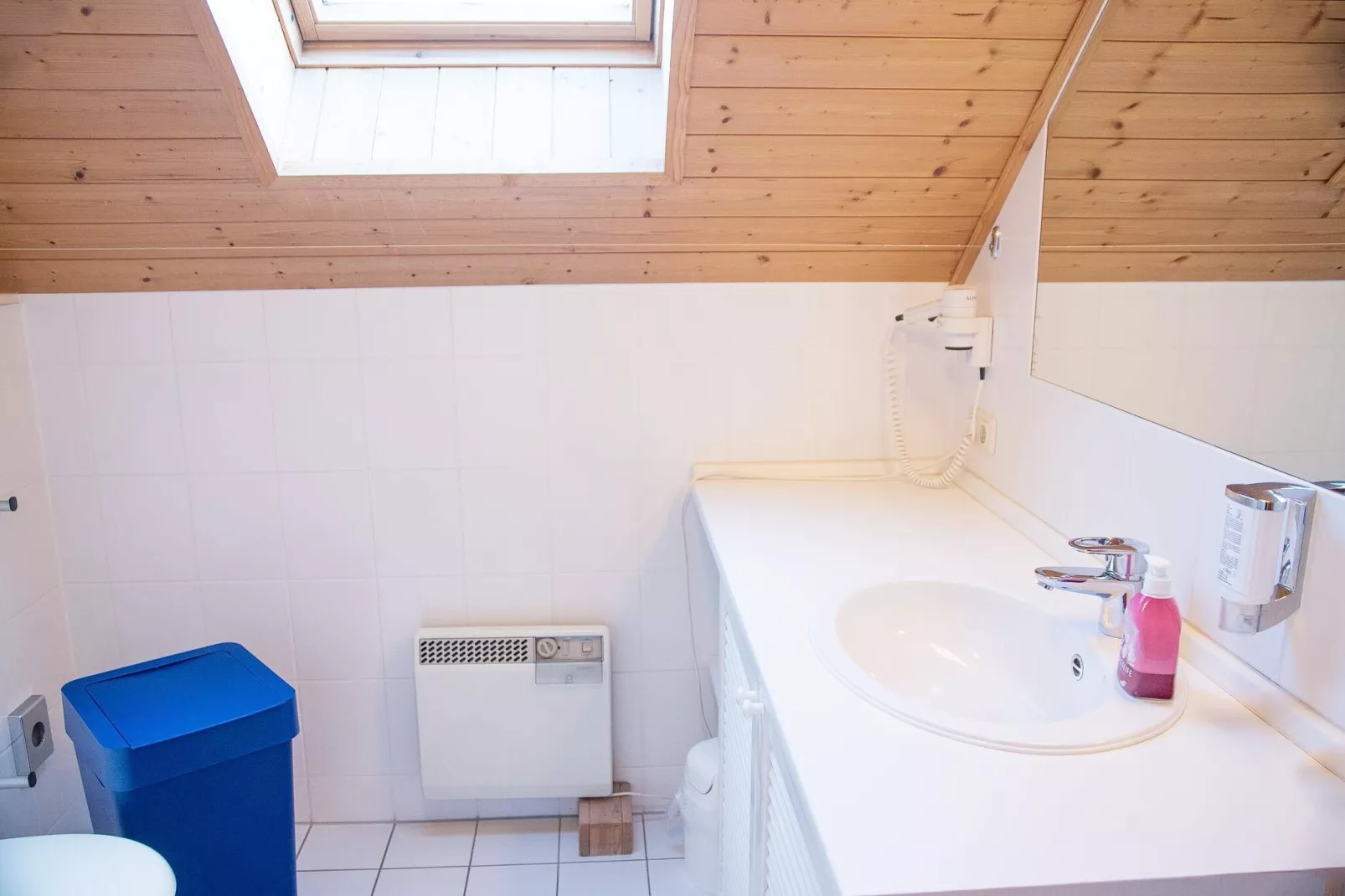 Ferienhaus in Hasselfelde - Haus 404 Auerhahn-Badkamer