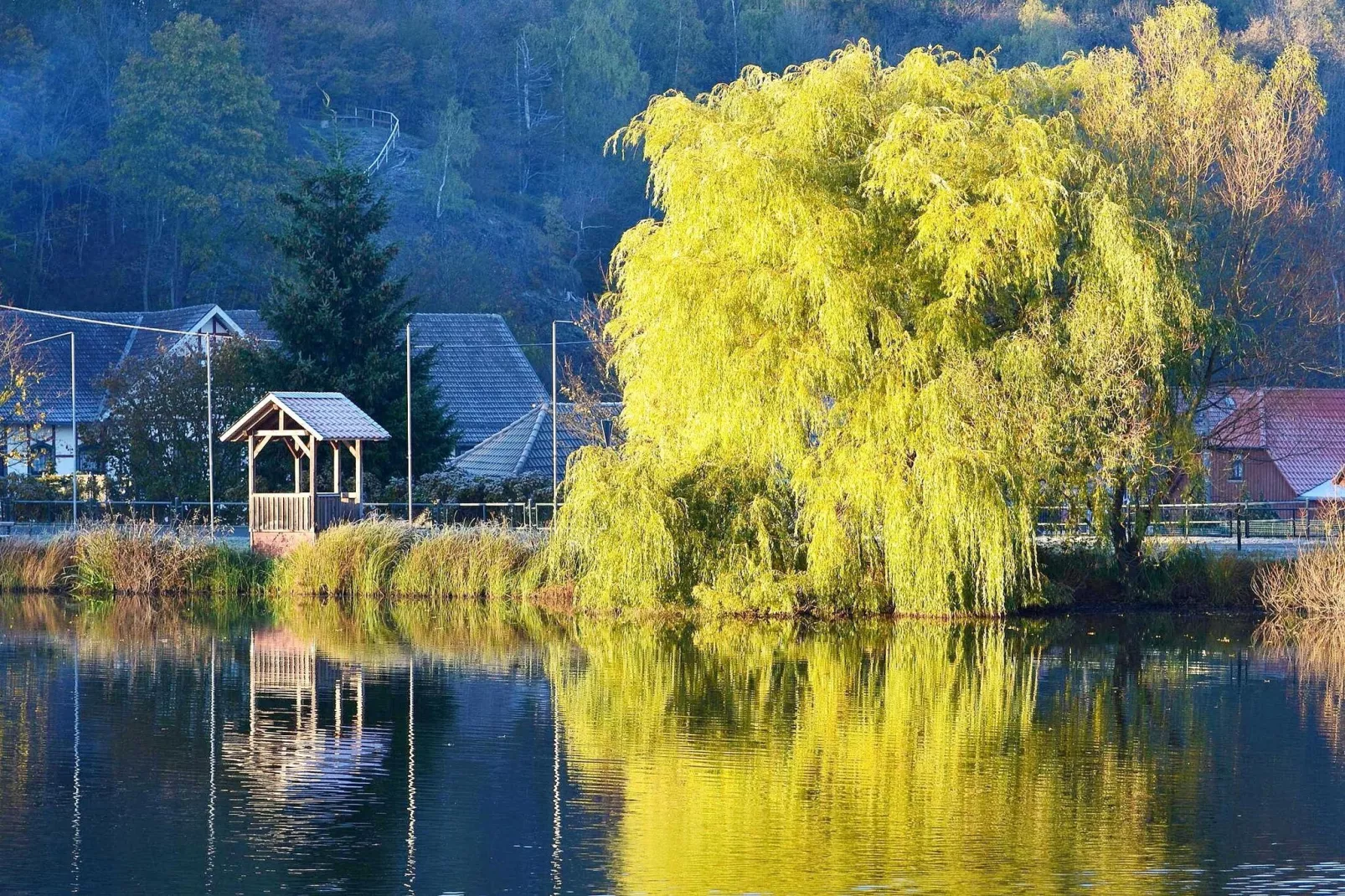 Ferienhaus in Hasselfelde - Haus 404 Auerhahn-Gebieden zomer 5km