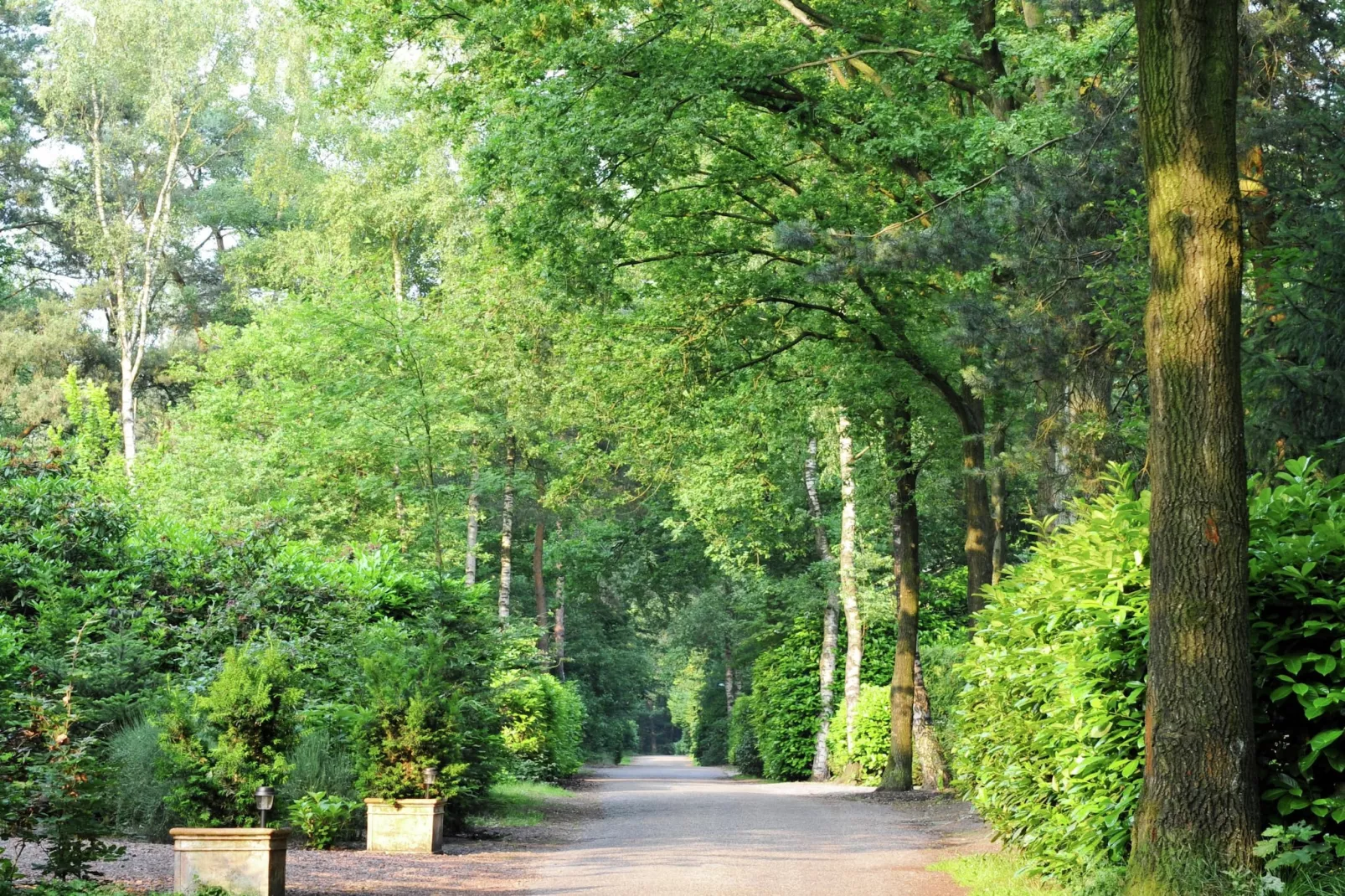Parc de Kievit 2-Tuinen zomer