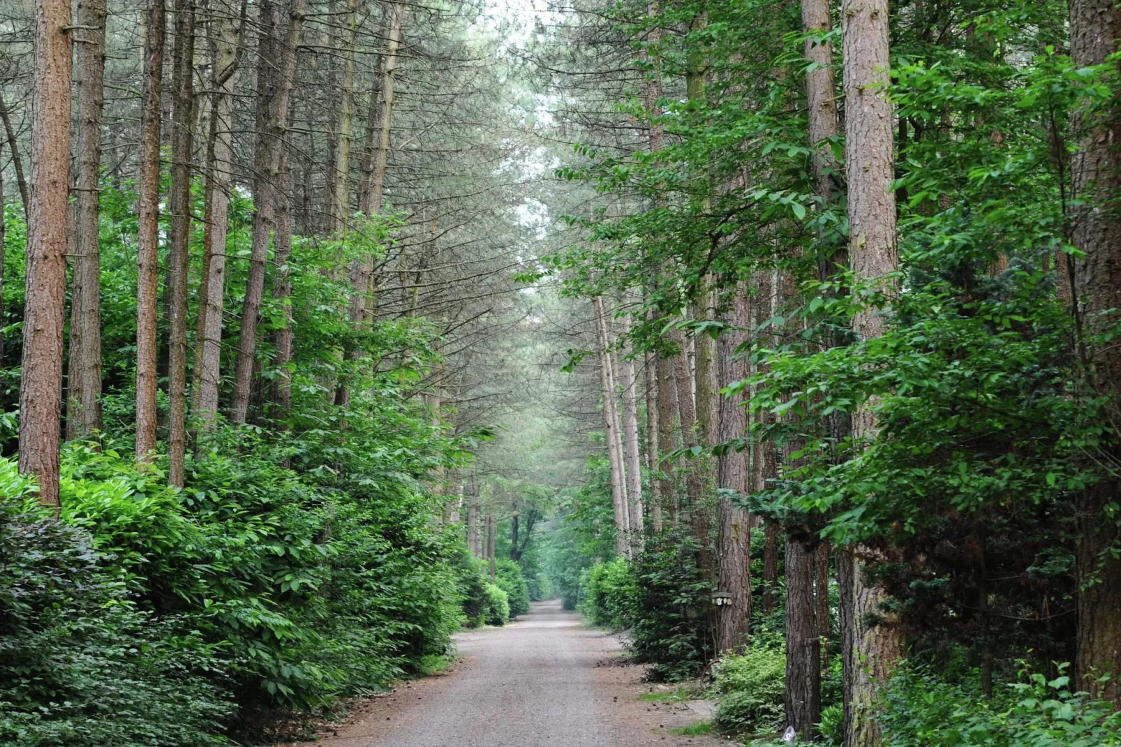 Parc de Kievit 2-Tuinen zomer