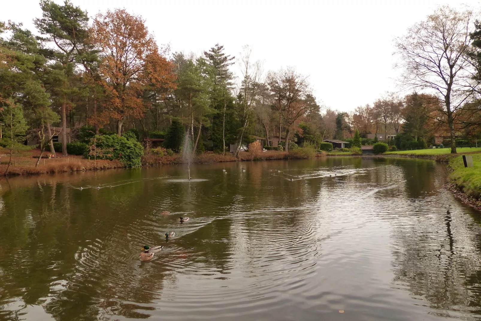 Parc de Kievit 2-Gebieden zomer 5km