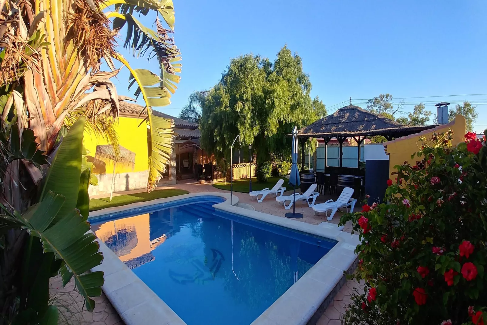 poolofhouse
