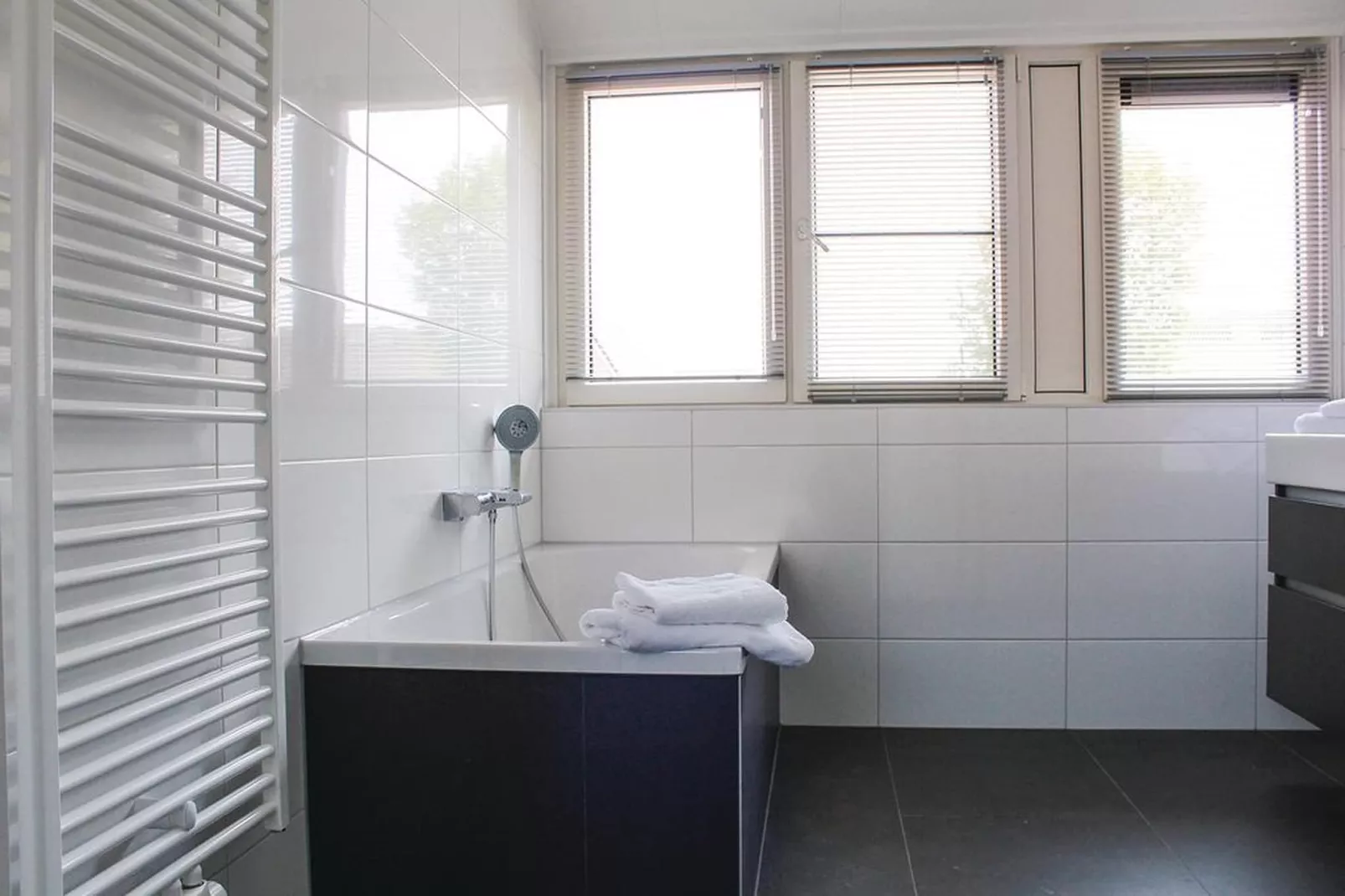 Recreatiepark Idskenhuizen 6-Badkamer