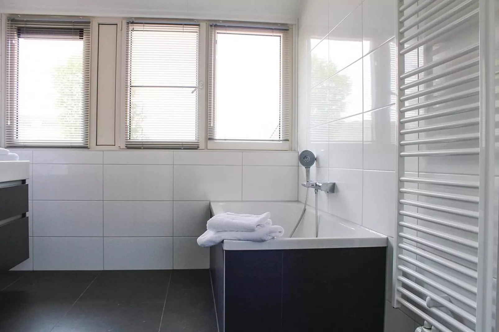 Recreatiepark Idskenhuizen 6-Badkamer